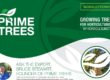 Prime-Trees-Newsletter-30