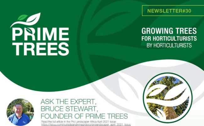 Prime-Trees-Newsletter-30